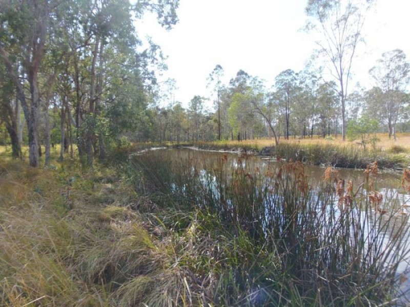 10 Raspberry Lane, Curra QLD 4570