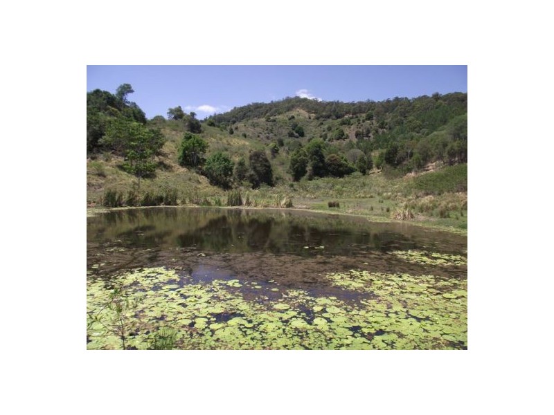 Cedar Pocket QLD 4570