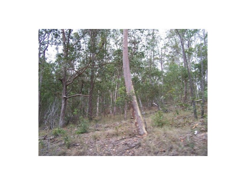 Lot 27 Glastonbury Road, The Palms QLD 4570