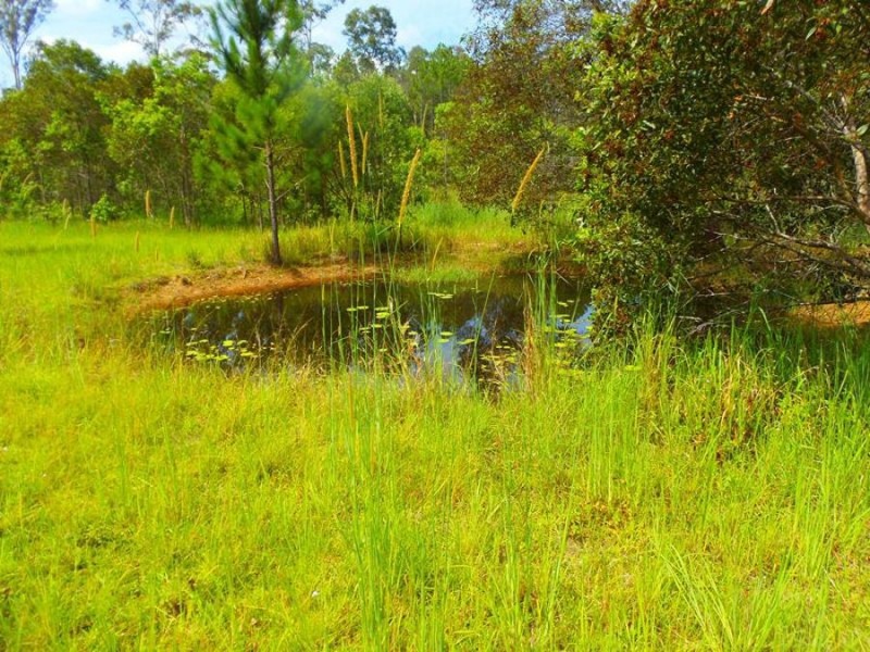 Lot 48 Arborthree Road, Glenwood QLD 4570