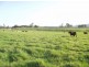 Imbil QLD 4570
