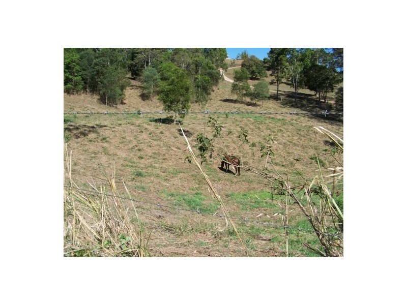 Canina QLD 4570