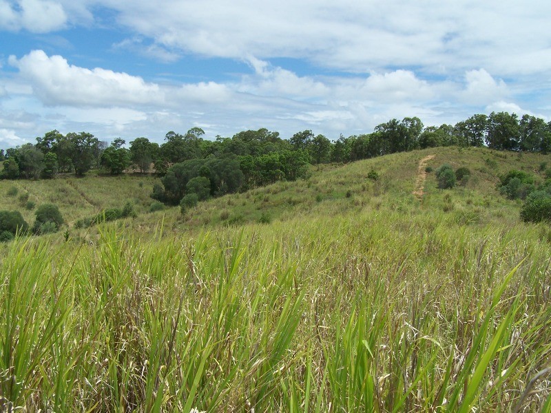 Traveston QLD 4570