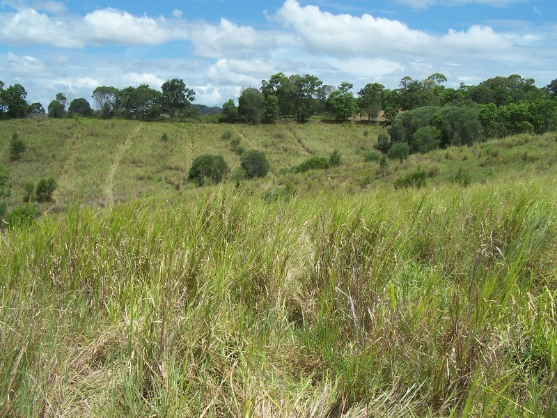 Traveston QLD 4570