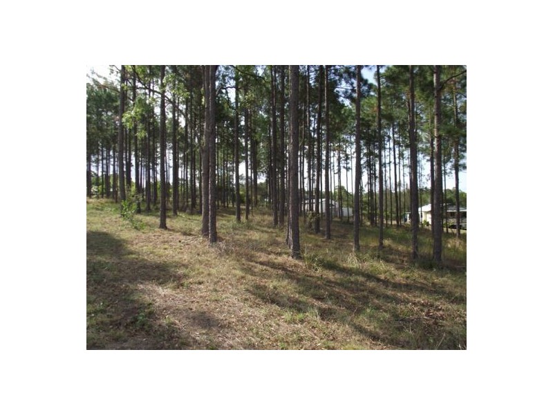 L88 Pepper Road, Glenwood QLD 4570