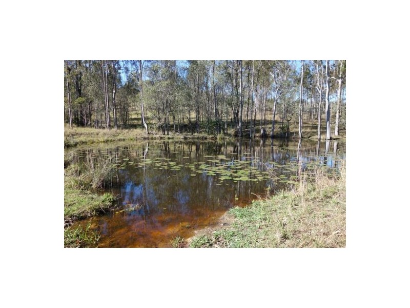 159 Jensen Road, Lower Wonga QLD 4570