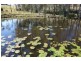 159 Jensen Road, Lower Wonga QLD 4570