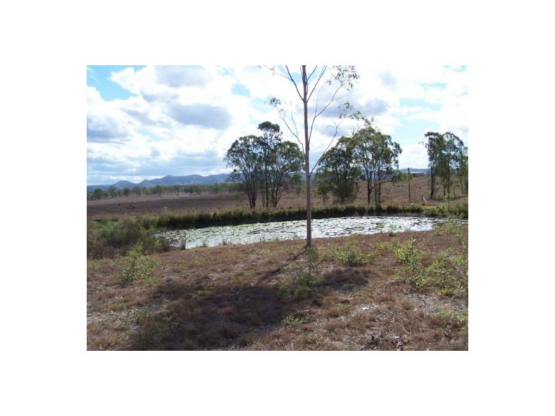 159 Jensen Road, Lower Wonga QLD 4570