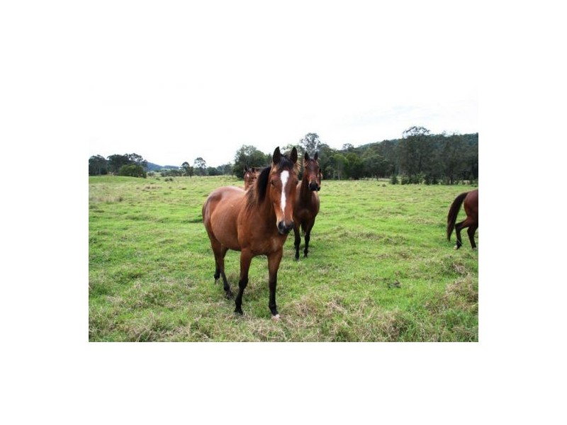 Wolvi QLD 4570