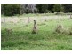 Wolvi QLD 4570