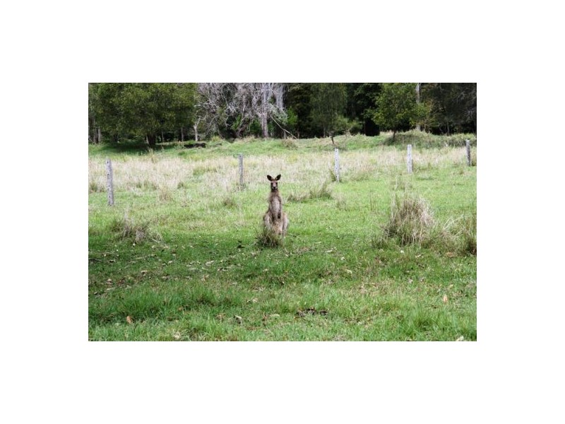 Wolvi QLD 4570