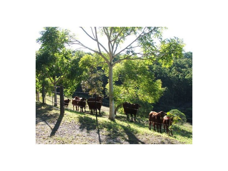 Cedar Pocket QLD 4570