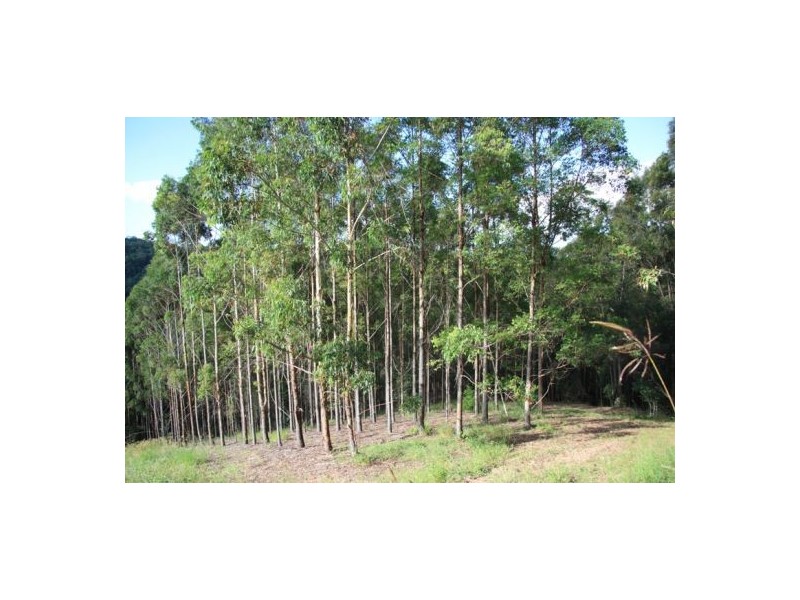 Cedar Pocket QLD 4570