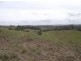 Traveston QLD 4570