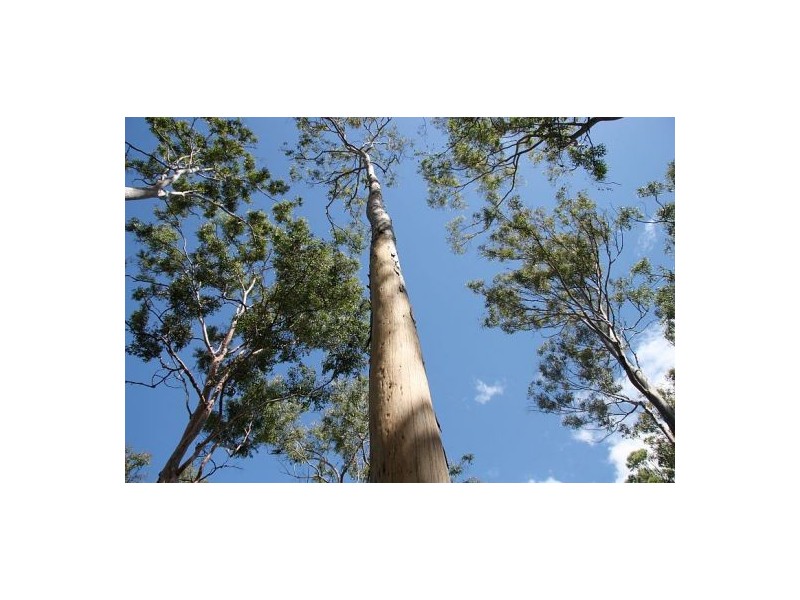 Glenbar QLD 4620