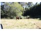 Bells Bridge QLD 4570