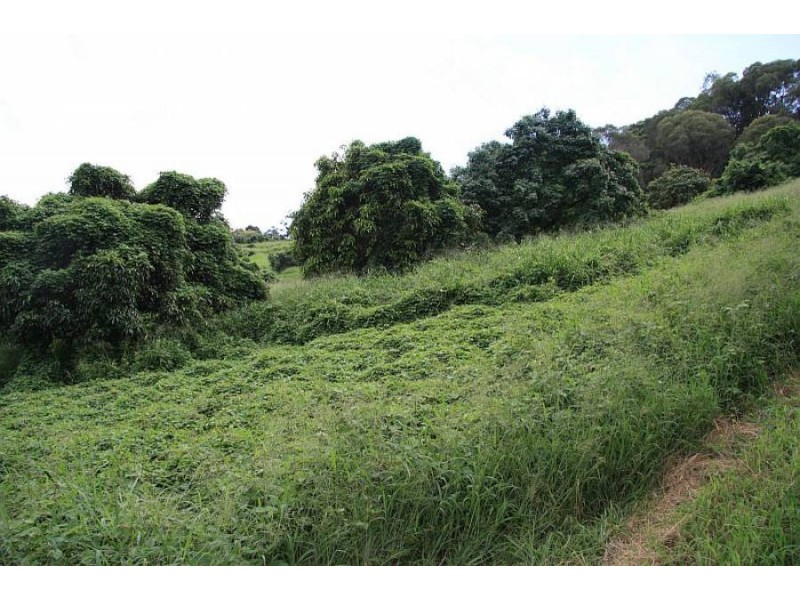 Scrubby Creek QLD 4570