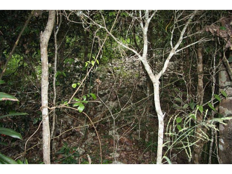 Scrubby Creek QLD 4570