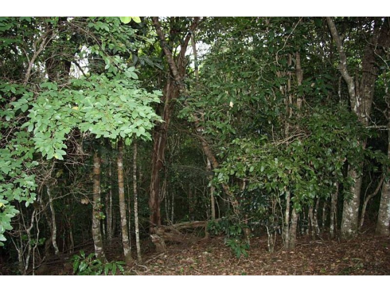 Scrubby Creek QLD 4570