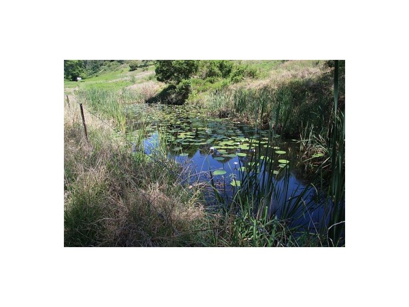 Imbil QLD 4570