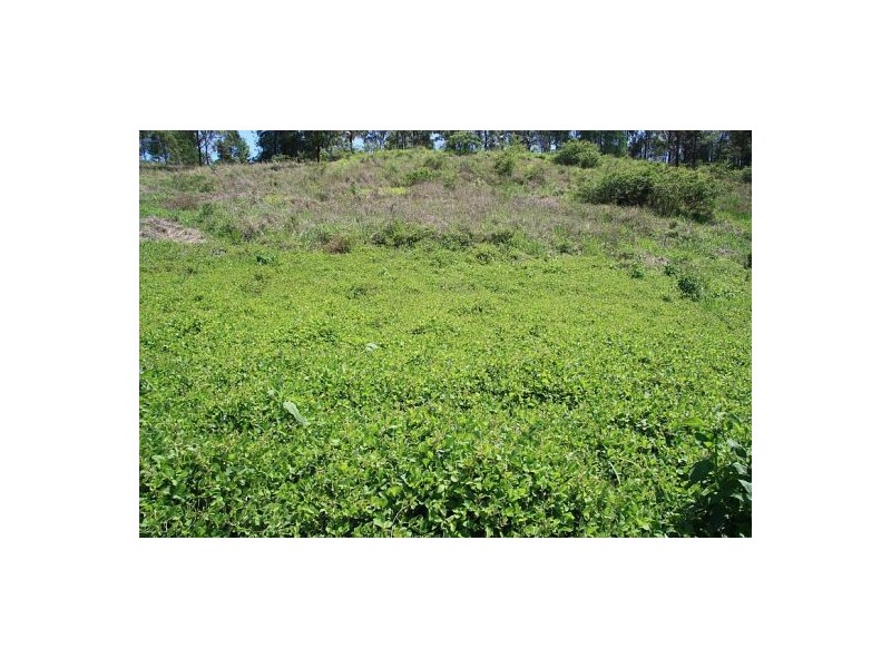 Imbil QLD 4570