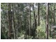 Imbil QLD 4570
