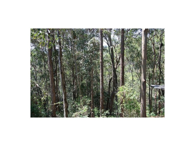 Imbil QLD 4570