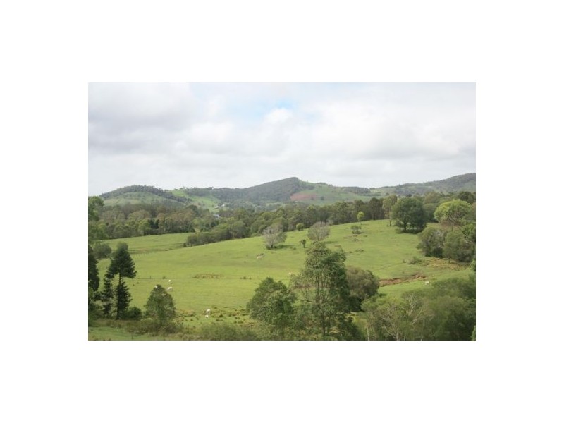 73 Burgess Road, Calico Creek QLD 4570