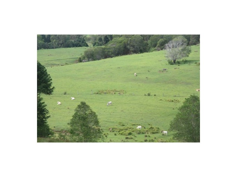 73 Burgess Road, Calico Creek QLD 4570