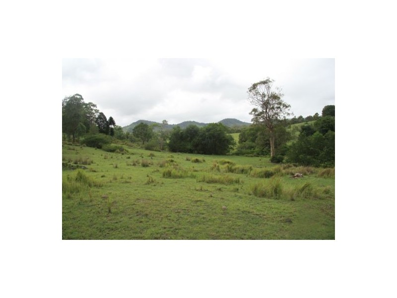 73 Burgess Road, Calico Creek QLD 4570