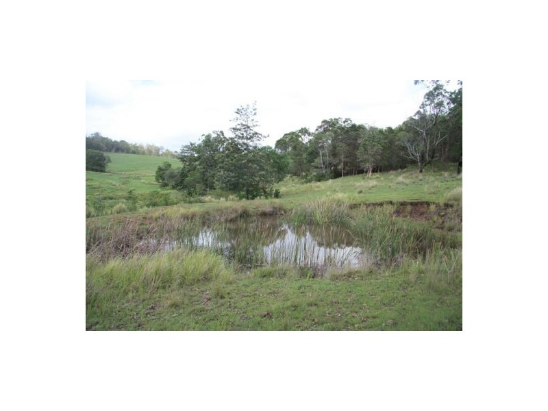 73 Burgess Road, Calico Creek QLD 4570