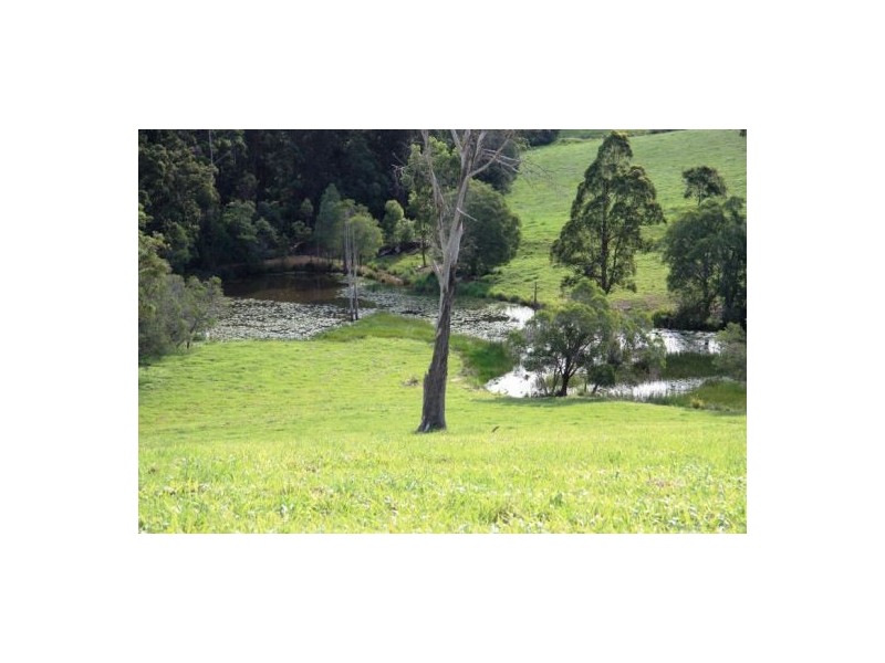 Wilsons Pocket QLD 4570