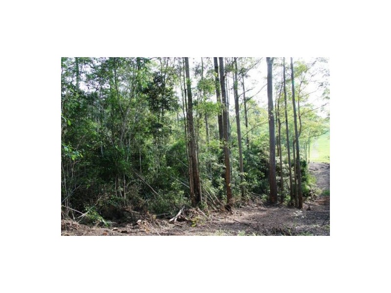 Wilsons Pocket QLD 4570