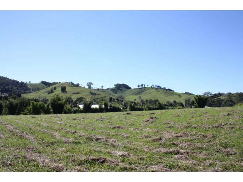 17 Watson Court, Kin Kin QLD 4571