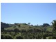 17 Watson Court, Kin Kin QLD 4571
