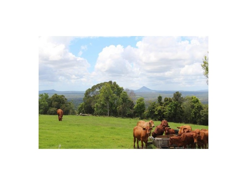 303 Tablelands Road, Cooran QLD 4569