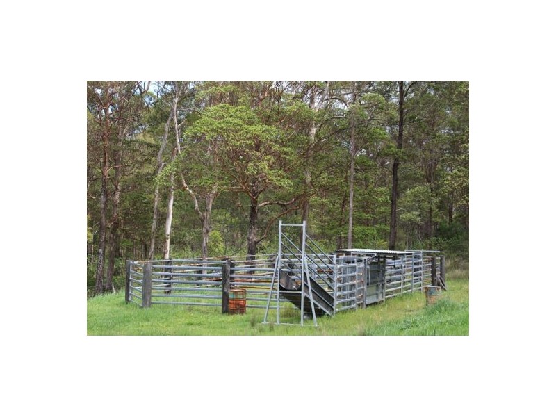 303 Tablelands Road, Cooran QLD 4569