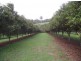 80 Campbell Road, East Deep Creek QLD 4570