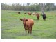 Woolooga QLD 4570