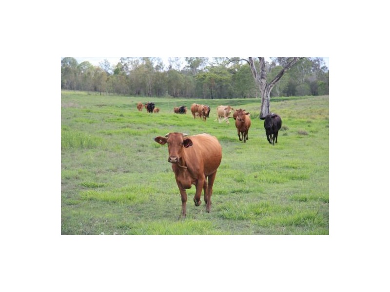 Woolooga QLD 4570