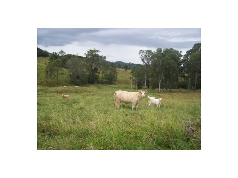 Glastonbury QLD 4570