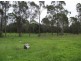 Widgee QLD 4570