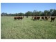 Curra QLD 4570