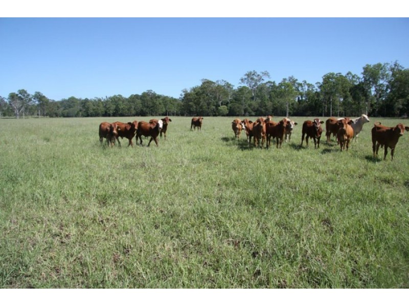 Curra QLD 4570