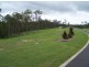 Lots 20-73 Peppertree Rise, Ridgehaven Estate, Tamaree QLD 4570