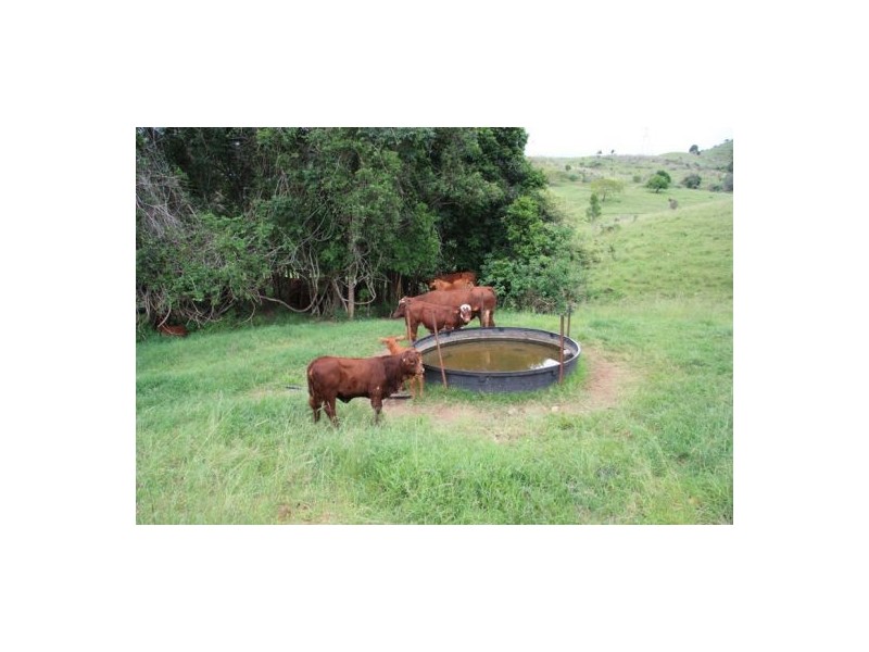 Glastonbury QLD 4570