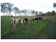 Sexton QLD 4570