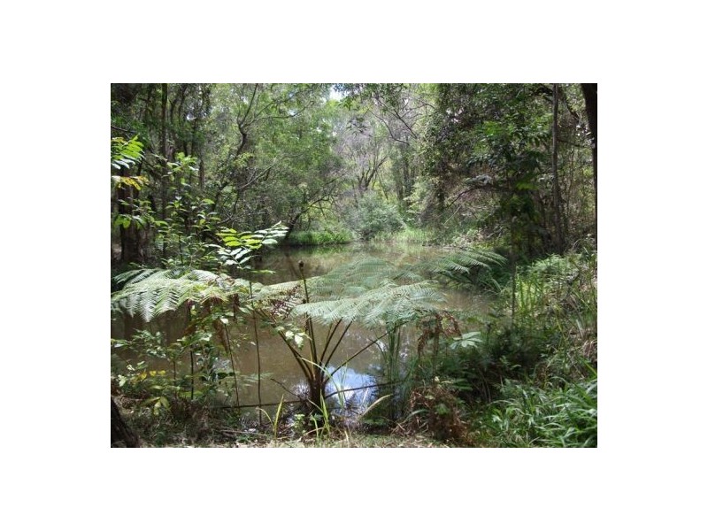 120 Ormes Road, Wilsons Pocket QLD 4570