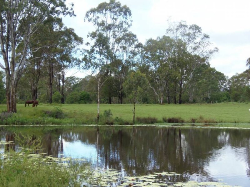 120 Settlement Road, Curra QLD 4570