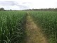 Sexton QLD 4570